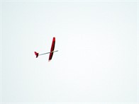 murray_glider_3