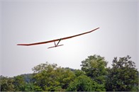 murray_glider_5